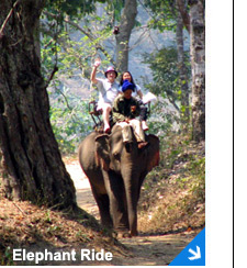 Elephant Ride pictures